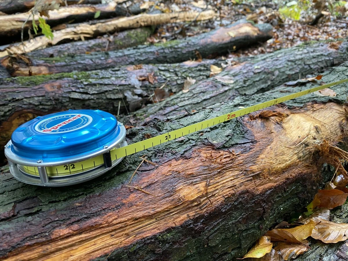 Spencer Boommeetband 25 Meter 3 Spencer Boommeetband 25 Meter - Afbeelding 3