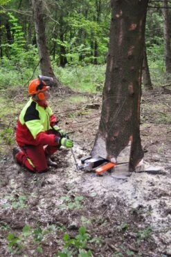 Nordforest Mechanische Velwig Titan 80 -Husqvarna || Gardena Verkoop 20076 9 NORDFOREST20MECHANISCHE20VELWIG20TITAN208020MET20RATEL