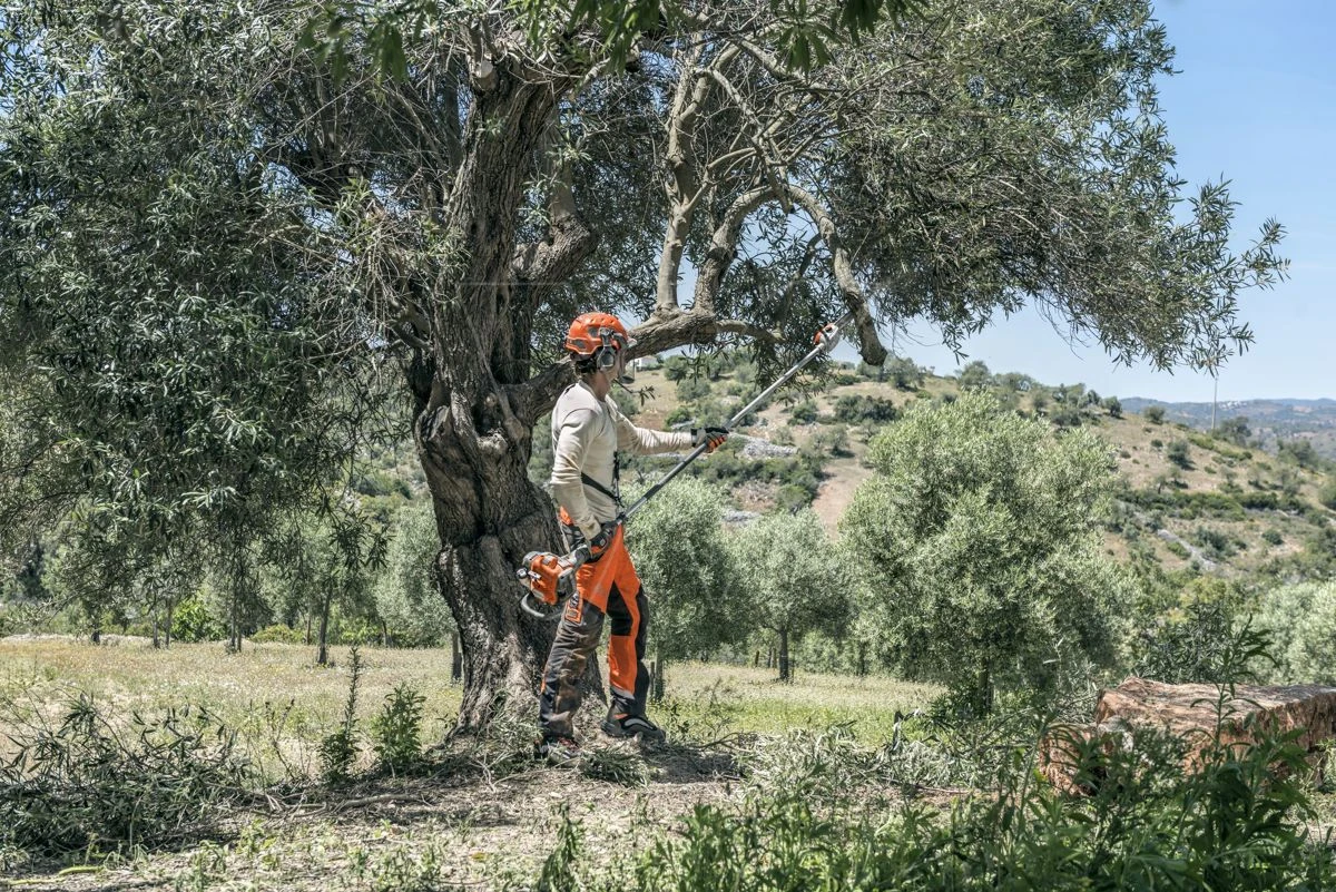 Husqvarna Stokzaag 525p4s 240cm 1.4pk 4 Husqvarna Stokzaag 525p4s 240cm 1.4pk - Afbeelding 4