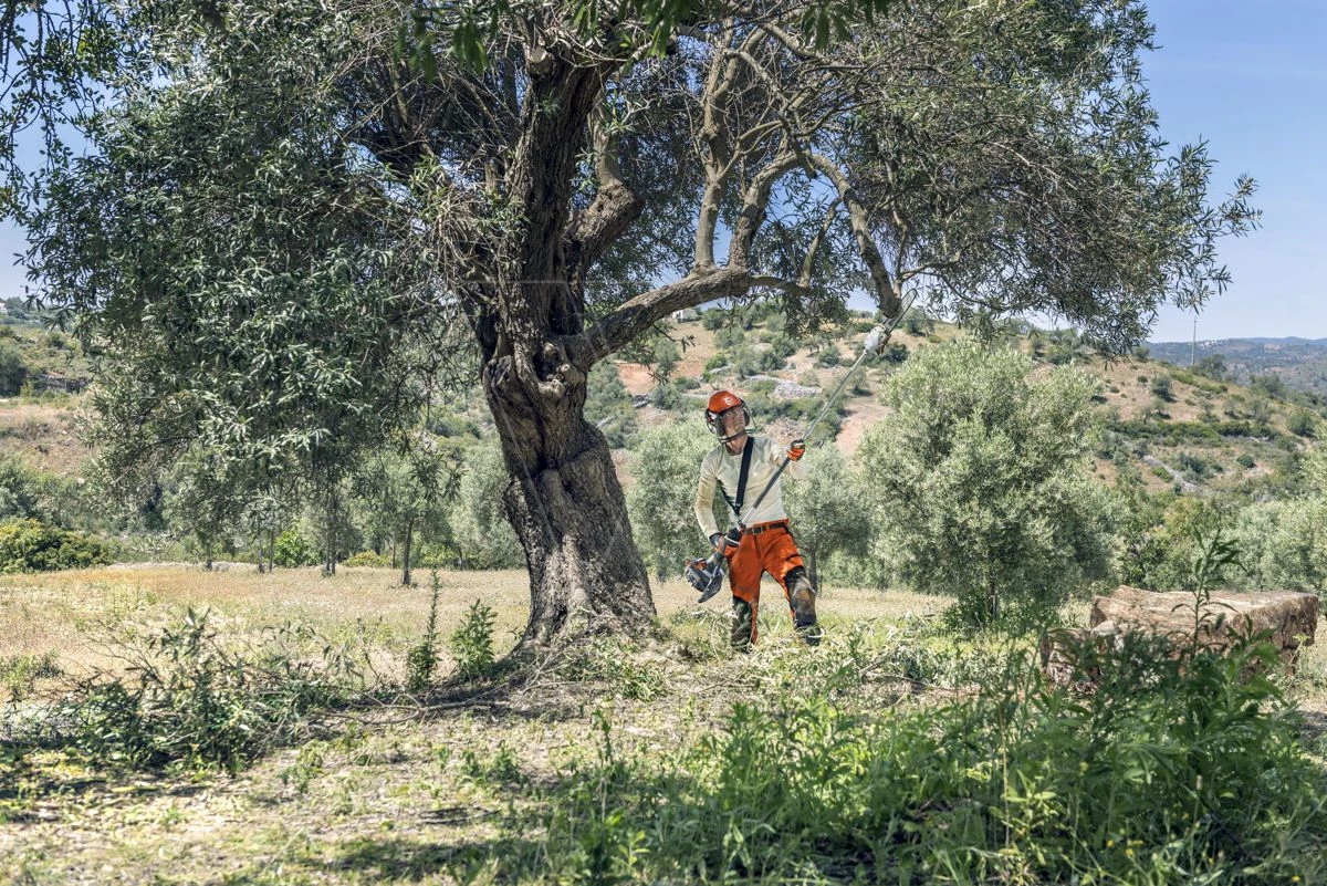 Husqvarna Stokzaag 525p4s 240cm 1.4pk 6 Husqvarna Stokzaag 525p4s 240cm 1.4pk - Afbeelding 6