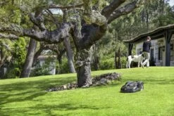 Husqvarna 440 Automower <4000m² -Husqvarna || Gardena Verkoop 967673312 5 Husqvarna20Automower2044020gazon204000m.jpg