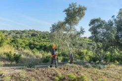 Husqvarna 530ip4 Accu Stokzaag Ex. Accu -Husqvarna || Gardena Verkoop 967884711 3 Husqvarna20accu20stok20zaag20536lip4