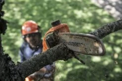 Husqvarna 120itk4 Stokzaag Incl. Pk4 -Husqvarna || Gardena Verkoop 970515901 4 HUSQVARNA20115IPT420ACCU20STOKZAAG20EX20ACCU20EN20LADER