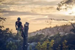 Husqvarna T540xp Mark Iii Klimzaag 35cm -Husqvarna || Gardena Verkoop 970517914 7 HUSQVARNA20T540XP20MARK20III20BOOMZAAG2030CM