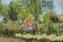 Gardena Ecoline Onkruidsteker -Husqvarna || Gardena Verkoop 970535501 4 GARDENA20ECOLINE20ONKRUIDSTEKER