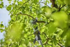 Gardena Accu-telescooptakkenschaar Solo -Husqvarna || Gardena Verkoop 970632601 3 Gardena20Accu Telescoop20Takkenschaar20Solo