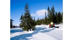 Husqvarna P520dx Zitmaaier Diesel -Husqvarna || Gardena Verkoop Husqvarna20Rider20P52020D20918