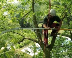 Silky Longboy Stokzaag Opklapbaar 360 Cm 9 Silky Longboy Stokzaag Opklapbaar 360 Cm -Husqvarna || Gardena Verkoop KSI636536 5 SILKY20LONGBOY20STOKZAAG20OPKLAPBAAR2036020CM