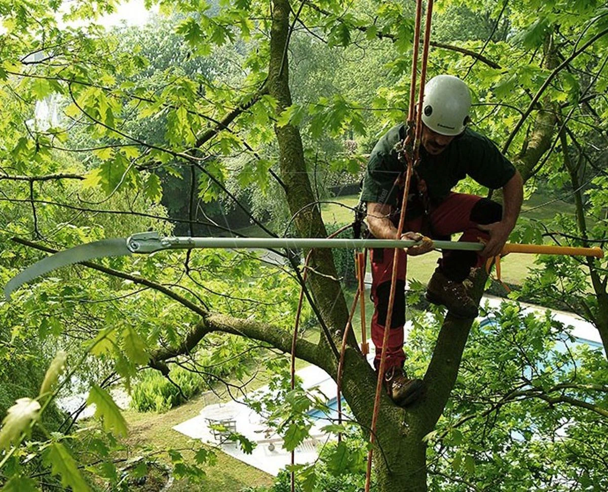 Silky Longboy Stokzaag Opklapbaar 360 Cm 5 Silky Longboy Stokzaag Opklapbaar 360 Cm - Afbeelding 5