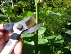 Okatsune Snoeischaar 104 Groot Model -Husqvarna || Gardena Verkoop KST104 4 Okatsune20Snoeischaar2010420Groot20Model