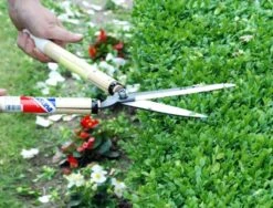 Okatsune Buxusschaar 217 Korte Greep -Husqvarna || Gardena Verkoop KST217 4 Okatsune20Buxusschaar2021720Korte20Greep