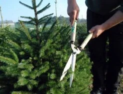 Okatsune Heggenschaar 231 Lange Bek -Husqvarna || Gardena Verkoop KST231 3 Okatsune20Heggenschaar2023120Lange20Bek