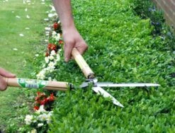 Okatsune Heggenschaar 231 Lange Bek -Husqvarna || Gardena Verkoop KST231 4 Okatsune20Heggenschaar2023120Lange20Bek