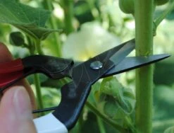 Okatsune Stekschaar 307 Harde Stengels -Husqvarna || Gardena Verkoop KST307 4 Okatsune20Stekschaar2030720Harde20Stengels