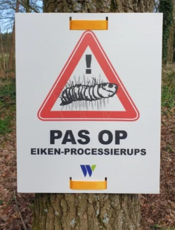 Gevaarsbord Pas Op Eikenprocessierups