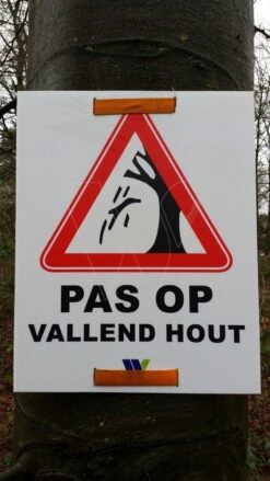 Gevaarsbord Pas Op Vallend Hout