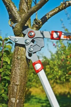 Wolf Rs 650 Powercut Takkenschaar 65cm 9 Wolf Rs 650 Powercut Takkenschaar 65cm -Husqvarna || Gardena Verkoop RS650 2 Wolf20takkenschaar20RS650