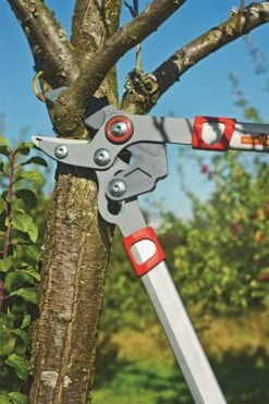 Wolf Rs 650 Powercut Takkenschaar 65cm 11 Wolf Rs 650 Powercut Takkenschaar 65cm -Husqvarna || Gardena Verkoop RS650 4 WOLF20RS65020POWERCUT20TAKKENSCHAAR202065CM